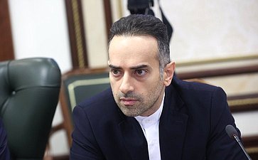 Встреча Григория Карасина с заместителем Министра иностранных дел Исламской Республики Иран