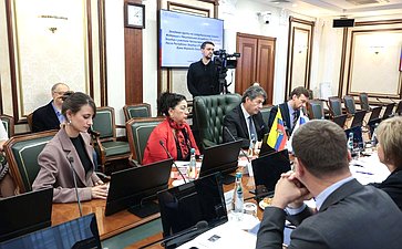 Заседание группы по сотрудничеству Совета Федерации с Национальной ассамблеей Республики Эквадор с участием Чрезвычайного и Полномочного Посла Республики Эквадор в Российской Федерации