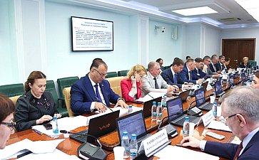 Заседание Комитета Совета Федерации по социальной политике