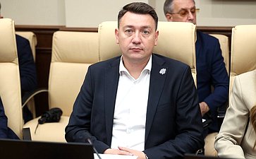 Круглый стол Комитета Совета Федерации по экономической политике «Применение беспилотных летательных аппаратов для фиксации нарушения правил дорожного движения»