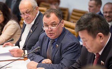 А. Суворов Заседание Комитета СФ по обороне и безопасности