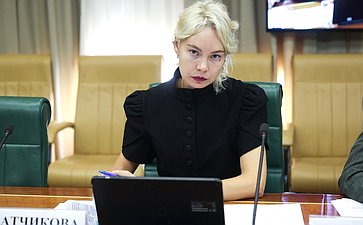 Заседание Совета по вопросам газификации субъектов Российской Федерации при Совете Федерации Федерального Собрания Российской Федерации