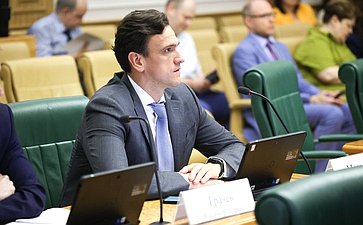 Заседание Комитета Совета Федерации по бюджету и финансовым рынкам