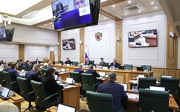 Заседание Комитета СФ по конституционному законодательству государственному строительству