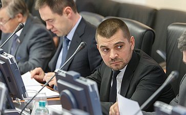 Заседание Комитета Совета Федерации по Регламенту и организации парламентской деятельности Мамедов