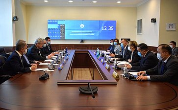 Встреча делегации Совета Федерации с Председателем ЦИК Республики Казахстан Бериком Имашевым