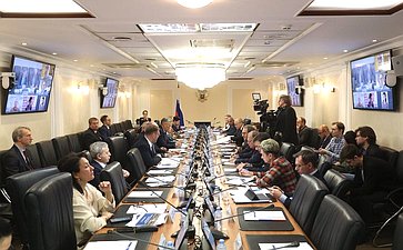Круглый стол Комитета СФ по международным делам совместно с Комитетом СФ по экономической политике