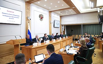 Заседание Комитета Совета Федерации по бюджету и финансовым рынкам