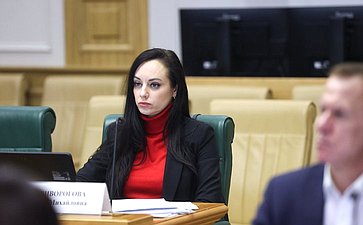 Заседание рабочей группы по законодательному обеспечению прав и законных интересов граждан РФ – участников специальной военной операции и членов их семей