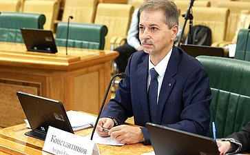 Расширенное заседание Комитета Совета Федерации по бюджету и финансовым рынкам