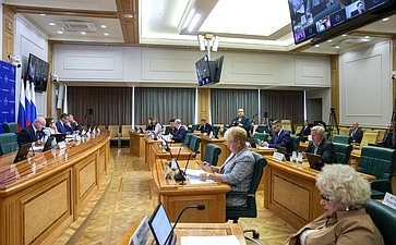 Заседание Комитета Совета Федерации по конституционному законодательству и государственному строительству