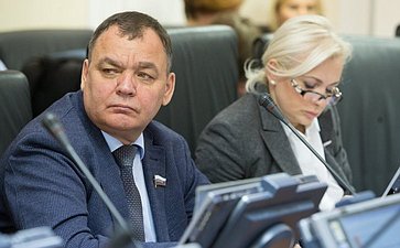 А. Суворов Заседание Комитета Совета Федерации по международным делам
