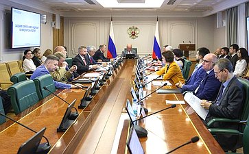 Заседание Комитета СФ по международным делам