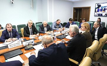Круглый стол Комитета СФ по экономической политике