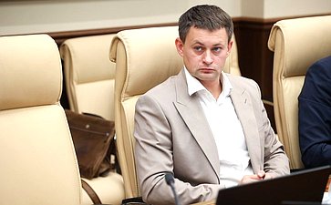 Круглый стол Комитета Совета Федерации по экономической политике «Применение беспилотных летательных аппаратов для фиксации нарушения правил дорожного движения»