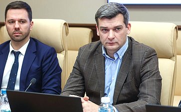 Круглый стол Комитета СФ по конституционному законодательству и государственному строительству «Правовое регулирование коллективных исков: проблемы применения и пути их решения»