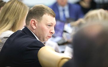 Расширенное заседание Комитета СФ по социальной политике (в рамках Дней Новгородской области в СФ)