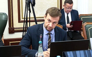 Заседание группы по сотрудничеству Совета Федерации с Национальной ассамблеей Республики Эквадор с участием Чрезвычайного и Полномочного Посла Республики Эквадор в Российской Федерации