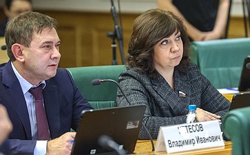 Расширенное заседание Комитета СФ по федеративному устройству, региональной политике, местному самоуправлению и делам Севера