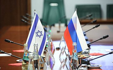 Встреча председателя Комитета СФ по международным делам Григория Карасина с Чрезвычайным и Полномочным Послом Государства Израиль в РФ Александром Бен Цви