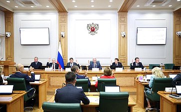 Заседание Комитета Совета Федерации по бюджету и финансовым рынкам