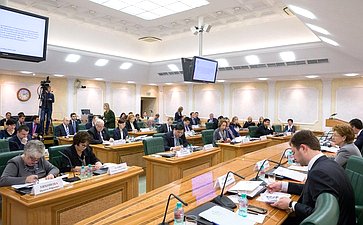 Заседание Совета по развитию социальных инноваций субъектов РФ на тему «Государственно-частное партнерство как инструмент развития социальной сферы в субъектах Российской Федерации»