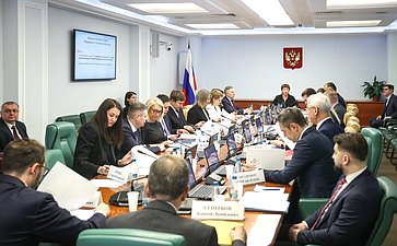 Заседание Комитета Совета Федерации по социальной политике