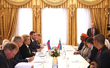 В. Матвиенко провела встречу с Председателем Национального совета провинций Парламента ЮАР Т. Модисе