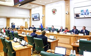 Заседание Комитета Совета Федерации по конституционному законодательству и государственному строительству