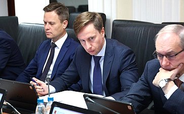Заседание Комитета Совета Федерации по Регламенту и организации парламентской деятельности