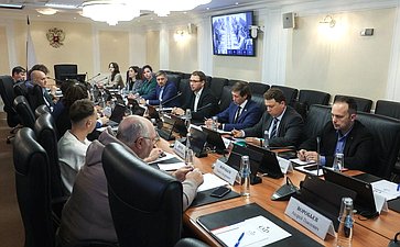 Заседание секции «Искусственный интеллект» Совета по развитию цифровой экономики при Совете Федерации