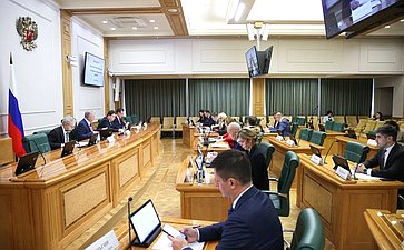Заседание Комитета Совета Федерации по бюджету и финансовым рынкам