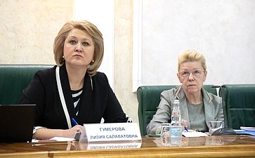 Лилия Гумерова и Елена Мизулина