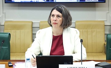 Заседание Совета по вопросам газификации субъектов Российской Федерации при Совете Федерации Федерального Собрания Российской Федерации