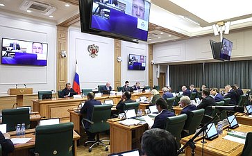 Заседание Комитета СФ по конституционному законодательству государственному строительству
