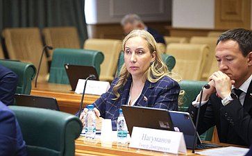 Заседание Комитета Совета Федерации по бюджету и финансовым рынкам