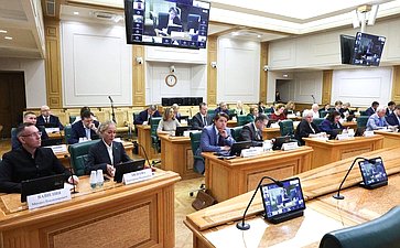 Заседание экспертно-консультативного совета при Комитете Совета Федерации по конституционному законодательству и государственному строительству