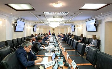 Заседание Комитета Совета Федерации по Регламенту и организации парламентской деятельности