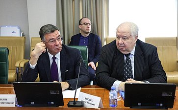 Заседание Комитета СФ по международным делам