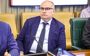Заседание Комитета СФ по международным делам