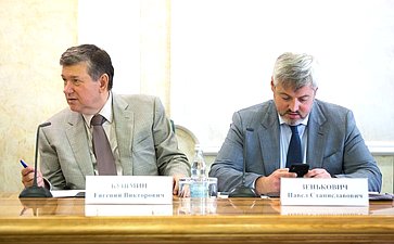 Е. Бушмин и П. Зенькович