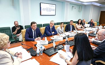 Круглый стол Комитета СФ по конституционному законодательству и государственному строительству на тему «Федеральный закон от 14 июля 2022 года № 307-ФЗ «О внесении изменений в Уголовный кодекс РФ»: практика его применения и перспективы совершенствования»