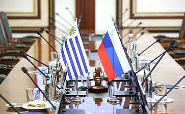 Встреча Григория Карасина с Министром животноводства, сельского хозяйства и рыболовства Восточной Республики Уругвай