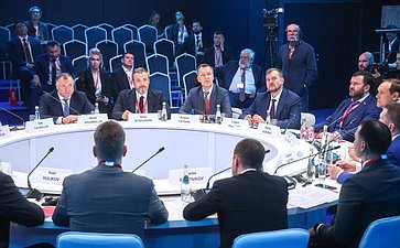 XXVIII Петербургский международный экономический форум (ПМЭФ’25). «Возрождение новых регионов России как драйвер экономического роста»