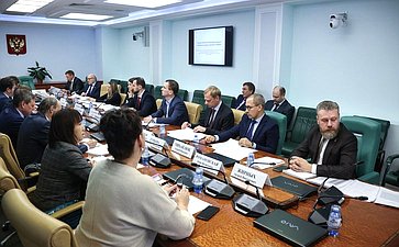 Совещание Комитета СФ по экономической политике совместно с Комитетом СФ по бюджету и финансовым рынкам