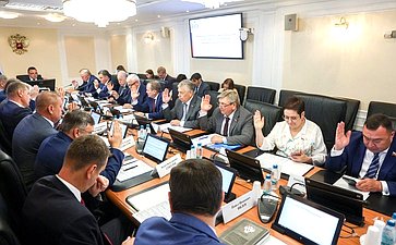 Заседание Комитета Совета Федерации по Регламенту и организации парламентской деятельности