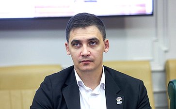 Заседание Палаты молодых законодателей при Совете Федерации