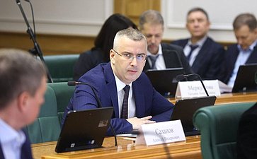 Заседание Комитета Совета Федерации по бюджету и финансовым рынкам