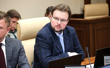 Круглый стол Комитета Совета Федерации по экономической политике «Применение беспилотных летательных аппаратов для фиксации нарушения правил дорожного движения»