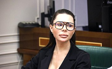 Круглый стол Комитета СФ по конституционному законодательству и государственного строительства «Ответственность за воспрепятствование профессиональной деятельности адвоката как гарантия реализации принципа состязательности и равноправия сторон»